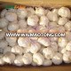 Chinese fresh pure white garlic price