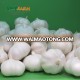 New crop pure white fresh garlic for export