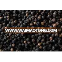 Vietnam Black Pepper High Quality Export at Cheap Prices