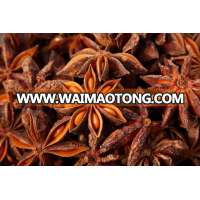 STAR ANISE/ ANISEED