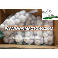 Sell normal white garlic/red garlic/Natural garlic price