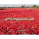 Dried Red Chilli Export from Vietnam