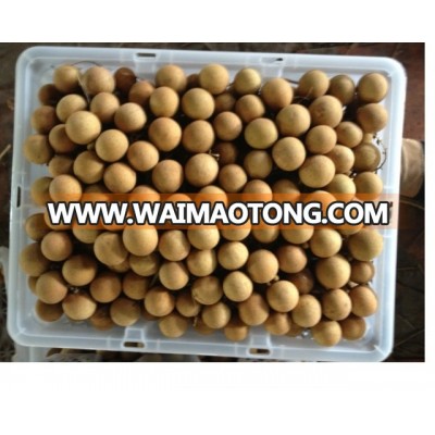 Fresh Longan