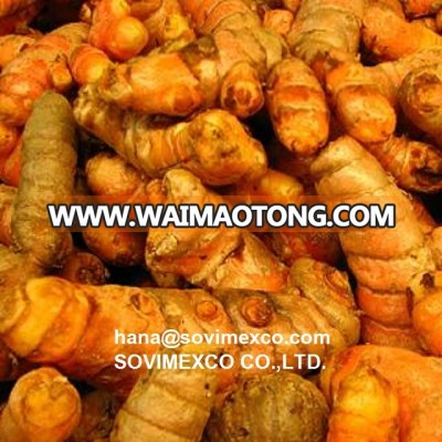 fresh turmeric in vietnam