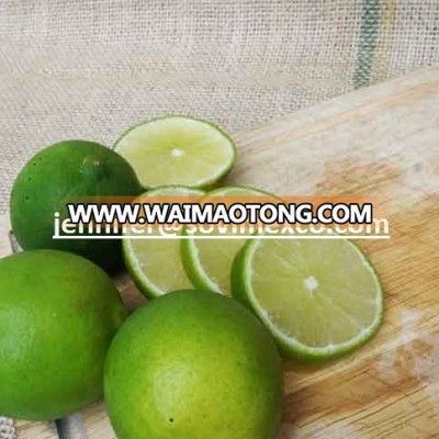 CHEAP FRESH LEMON FROM VIETNAM