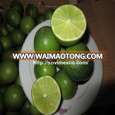 fresh lemon and lime in vietnam