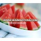 Fresh Watermelon Fruit with High quality From Vietnam