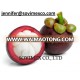 Vietnam Fresh Mangosteen - Mangosteen High Quality