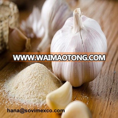 White Garlic in Vietnam