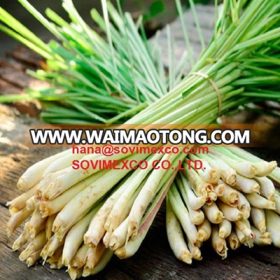 lemongrass in vietnam