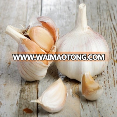 White garlic for sales