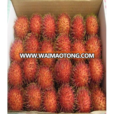 Fresh Rambutan FromVietnam