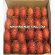 Fresh Rambutan FromVietnam