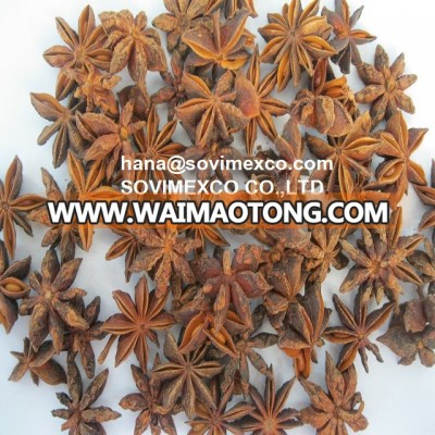 star aniseed in vietnam