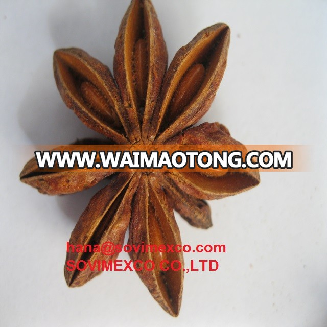 cinnamon in vietnam